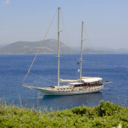 bodrum yat kiralama - bodrum tekne kiralama - cobra 3 gulet