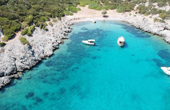 aquarium-koyu-bodrum