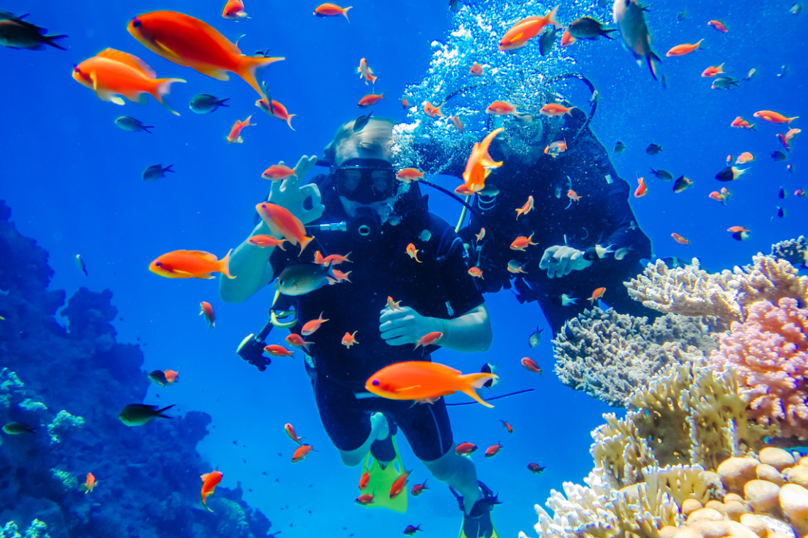 What is Free Diving and Scuba Diving?